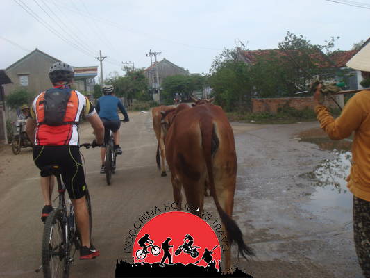 12 DaysNha Trang Cycle To Hanoi Along The Coast and Ho Chi Minh Trails